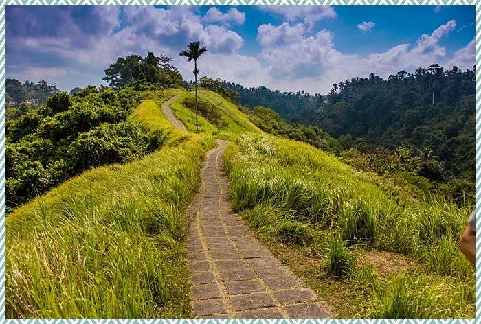 road in Bali