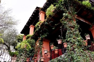 Globetrotter: Photographer Donna von Bruening in San Miguel de Allende, Mexico that is romantic